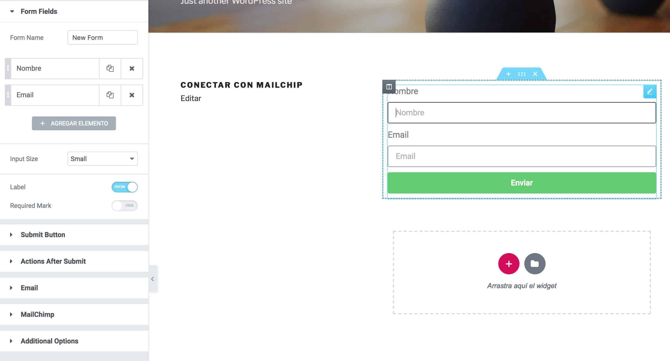 campos formulario mailchimp