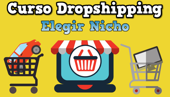 elegir nicho dropshipping