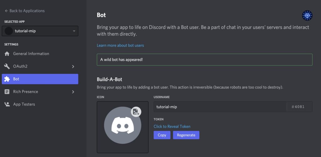 opciones nuevo bot discord