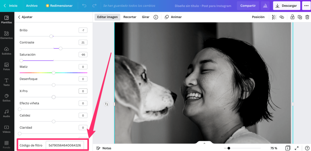 codigo de filtro en canva
