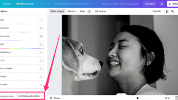 codigo filtro canva