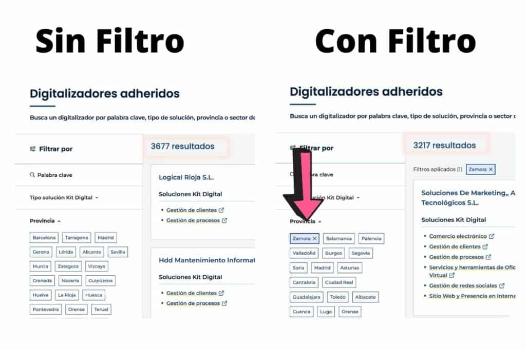 Captura de pantalla de la web AceleraPyme donde se puede ver que el filtro de provincia no funciona